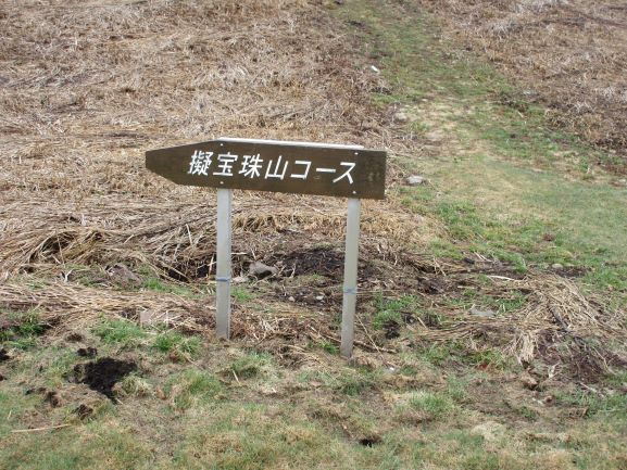 擬宝珠山の登山口